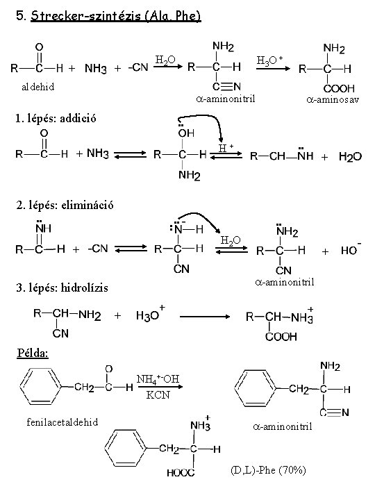 5. Strecker-szintézis (Ala, Phe) + + H 2 O H 3 O + aldehid