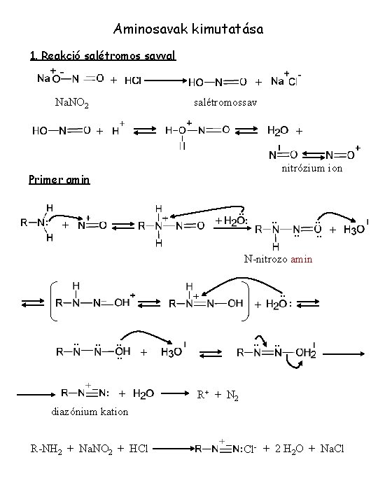 Aminosavak kimutatása 1. Reakció salétromos savval + + Na. NO 2 salétromossav + +