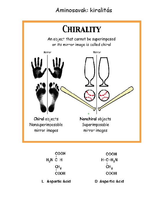 Aminosavak: kiralitás * * 