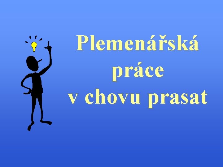 Plemenářská práce v chovu prasat 