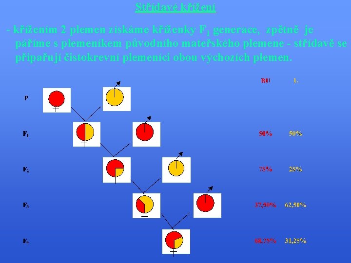 Střídavé křížení - křížením 2 plemen získáme kříženky F 1 generace, zpětně je páříme