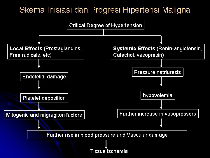 Skema Inisiasi dan Progresi Hipertensi Maligna Critical Degree of Hypertension Local Effects (Prostaglandins, Free