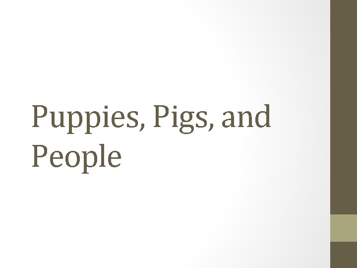 Puppies, Pigs, and People Puppies, Pigs, and People