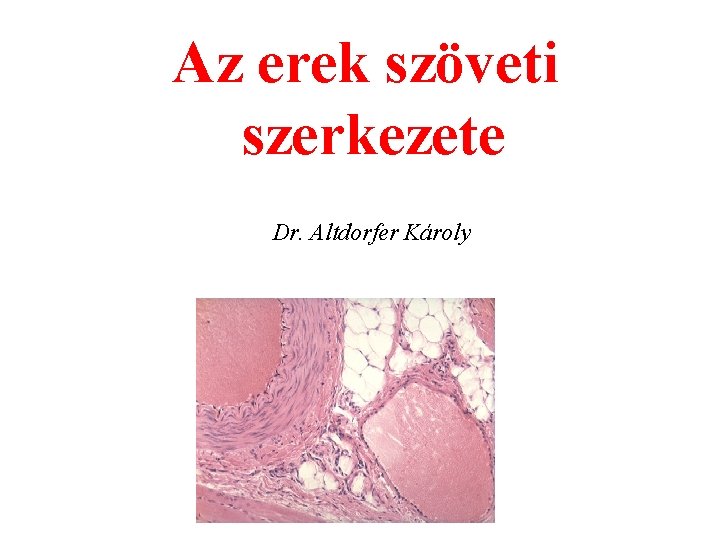 Az erek szöveti szerkezete Dr. Altdorfer Károly 