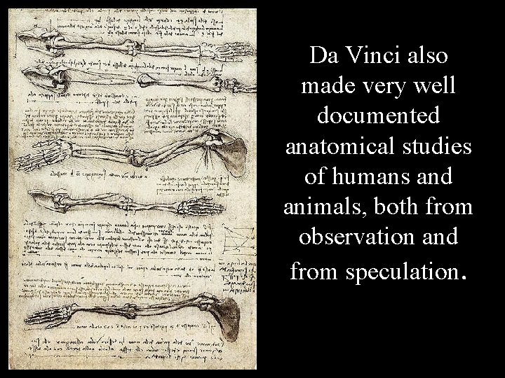 Da Vinci also made very well documented anatomical studies of humans and animals, both