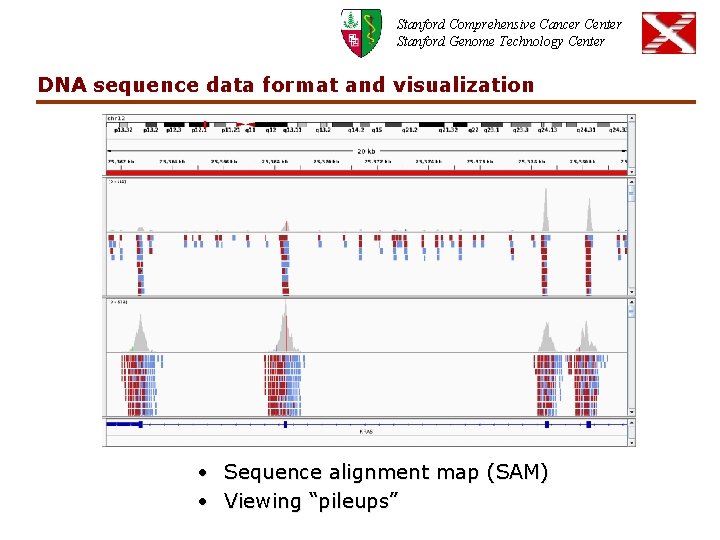 Stanford Comprehensive Cancer Center Stanford Genome Technology Center DNA sequence data format and visualization