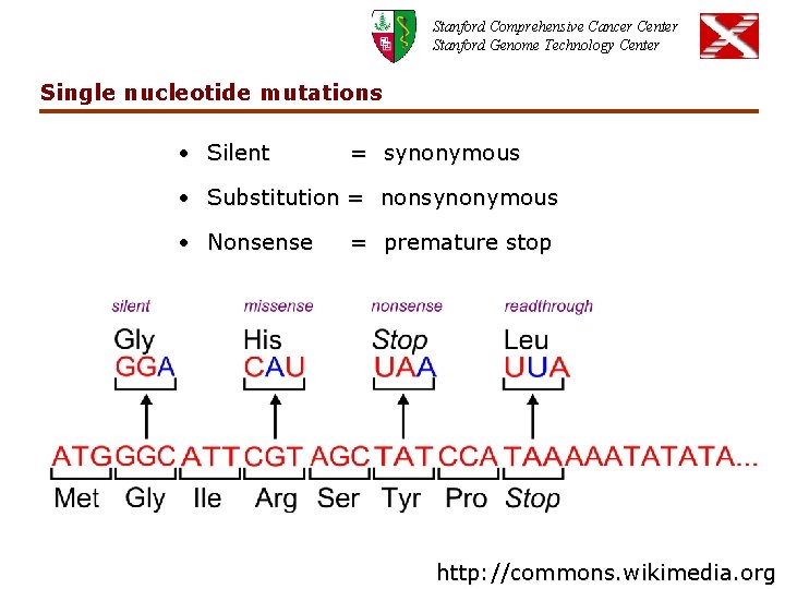 Stanford Comprehensive Cancer Center Stanford Genome Technology Center Single nucleotide mutations • Silent =