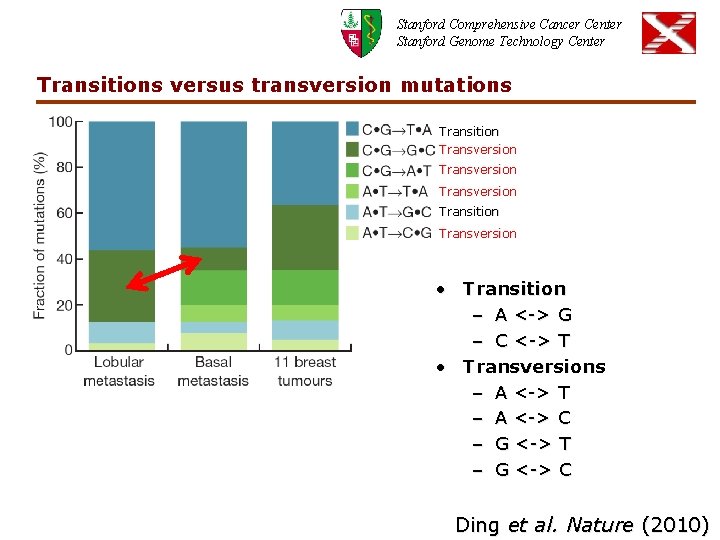 Stanford Comprehensive Cancer Center Stanford Genome Technology Center Transitions versus transversion mutations Transition Transversion