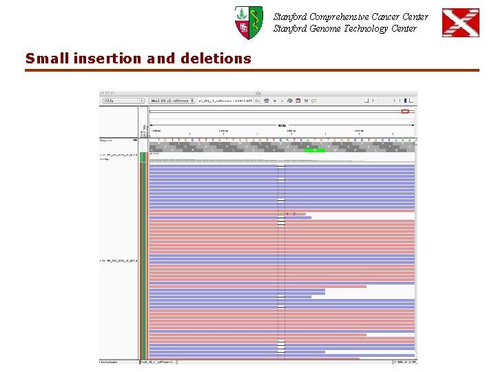 Stanford Comprehensive Cancer Center Stanford Genome Technology Center Small insertion and deletions 