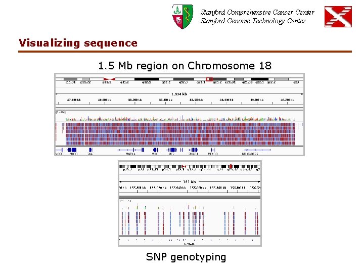 Stanford Comprehensive Cancer Center Stanford Genome Technology Center Visualizing sequence 1. 5 Mb region