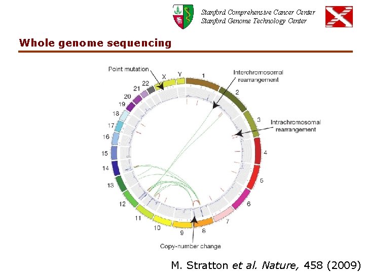 Stanford Comprehensive Cancer Center Stanford Genome Technology Center Whole genome sequencing M. Stratton et