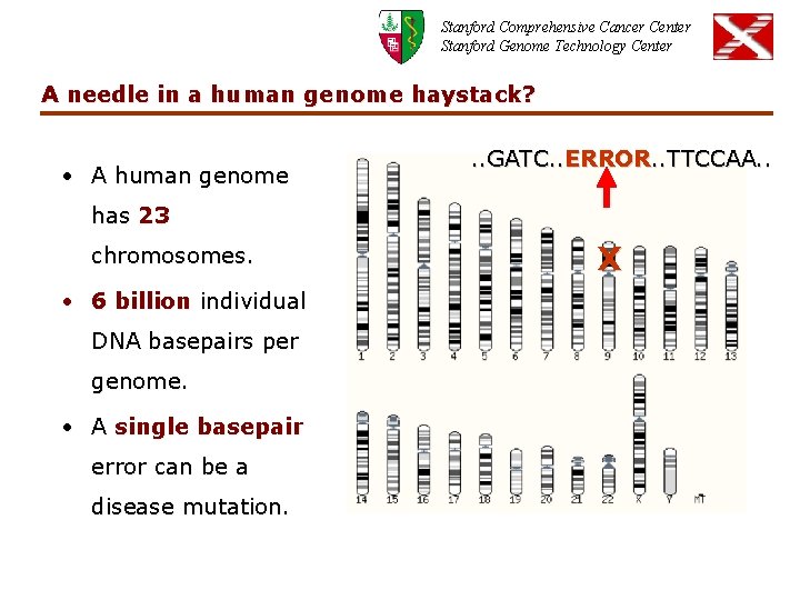 Stanford Comprehensive Cancer Center Stanford Genome Technology Center A needle in a human genome