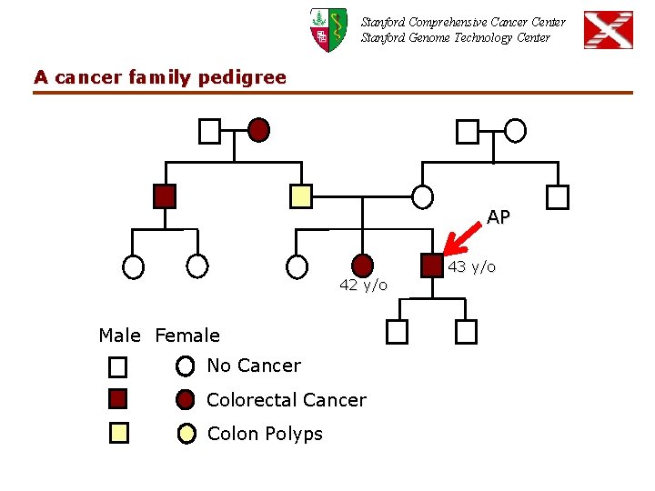 Stanford Comprehensive Cancer Center Stanford Genome Technology Center A cancer family pedigree AP 43