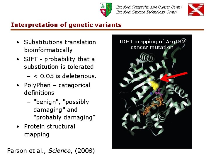 Stanford Comprehensive Cancer Center Stanford Genome Technology Center Interpretation of genetic variants • Substitutions