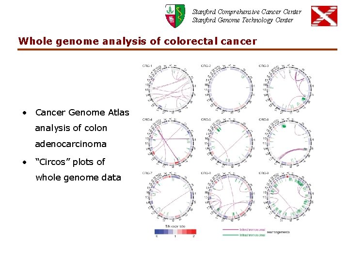 Stanford Comprehensive Cancer Center Stanford Genome Technology Center Whole genome analysis of colorectal cancer