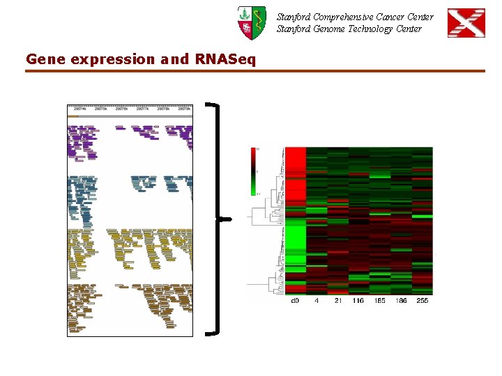 Stanford Comprehensive Cancer Center Stanford Genome Technology Center Gene expression and RNASeq 