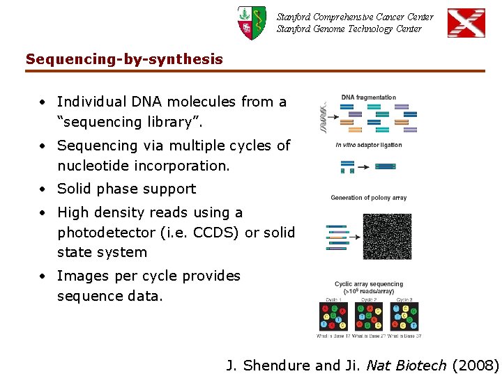 Stanford Comprehensive Cancer Center Stanford Genome Technology Center Sequencing-by-synthesis • Individual DNA molecules from