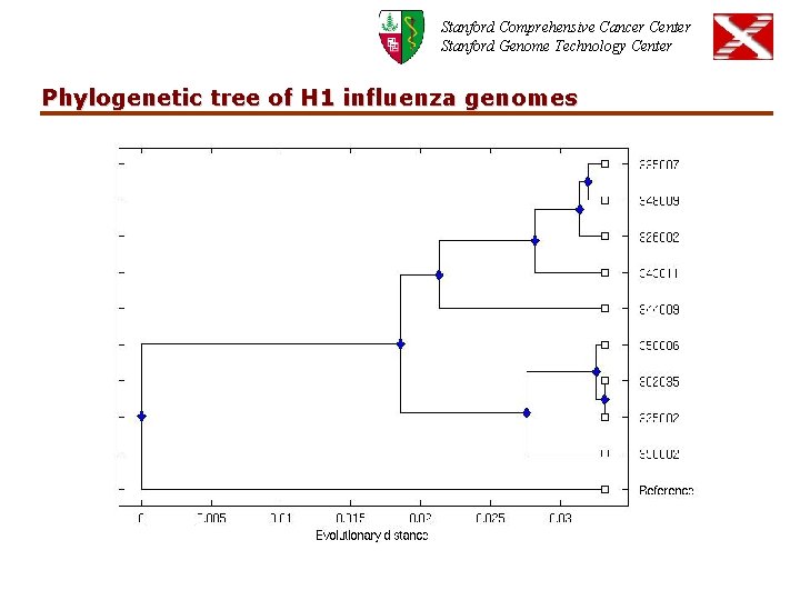 Stanford Comprehensive Cancer Center Stanford Genome Technology Center Phylogenetic tree of H 1 influenza