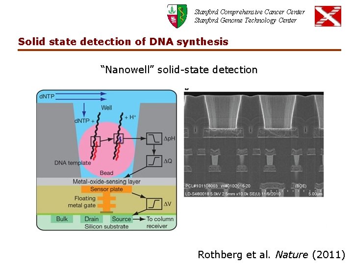 Stanford Comprehensive Cancer Center Stanford Genome Technology Center Solid state detection of DNA synthesis