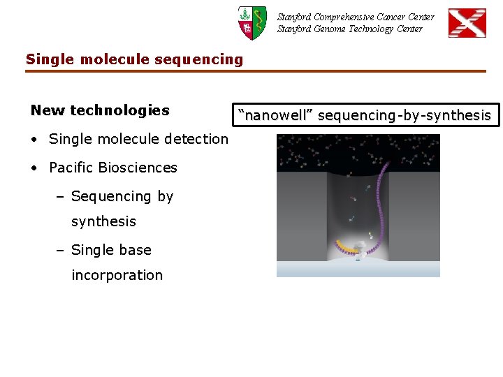 Stanford Comprehensive Cancer Center Stanford Genome Technology Center Single molecule sequencing New technologies •