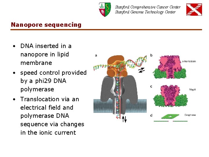 Stanford Comprehensive Cancer Center Stanford Genome Technology Center Nanopore sequencing • DNA inserted in