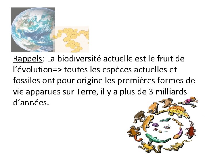 Rappels: La biodiversité actuelle est le fruit de l’évolution=> toutes les espèces actuelles et