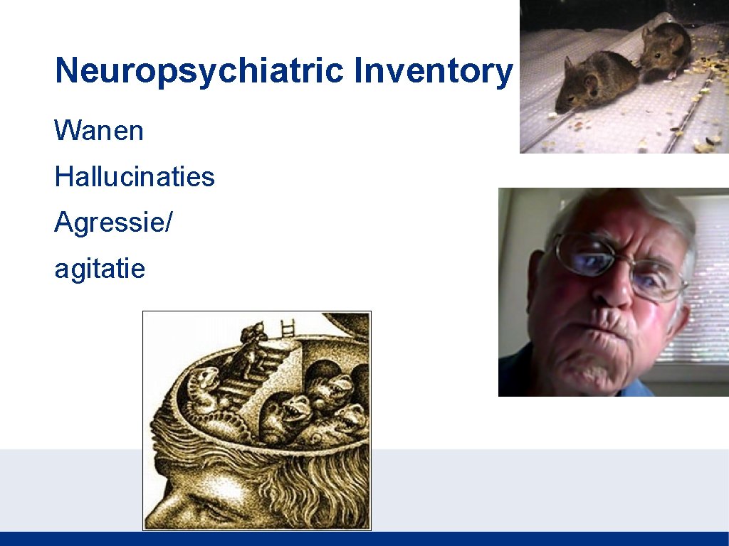 Neuropsychiatric Inventory Wanen Hallucinaties Agressie/ agitatie 