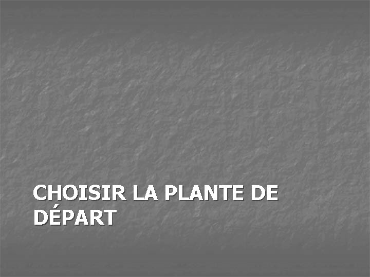 CHOISIR LA PLANTE DE DÉPART 