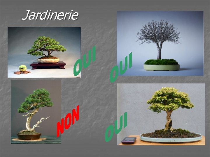 Jardinerie 