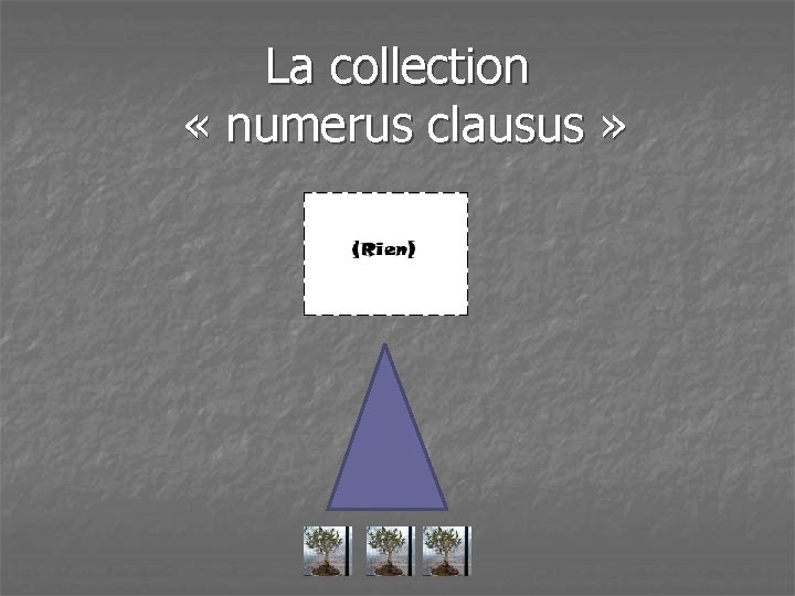 La collection « numerus clausus » 
