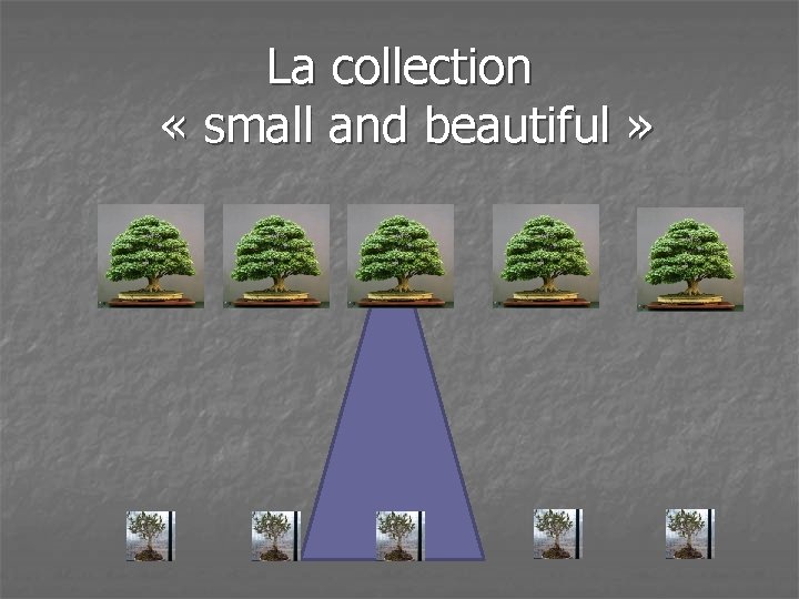 La collection « small and beautiful » 