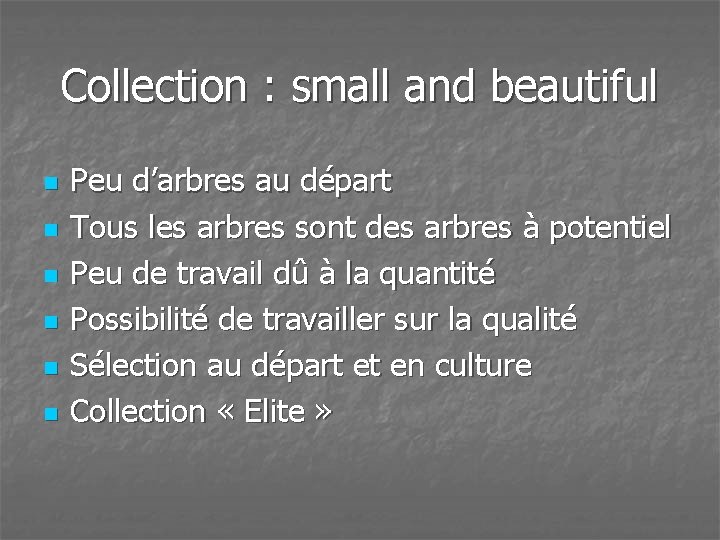 Collection : small and beautiful n n n Peu d’arbres au départ Tous les