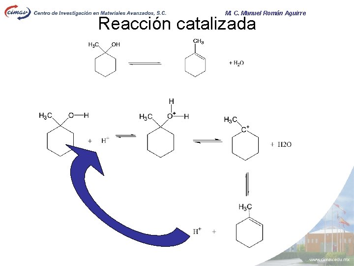 M. C. Manuel Román Aguirre Reacción catalizada 