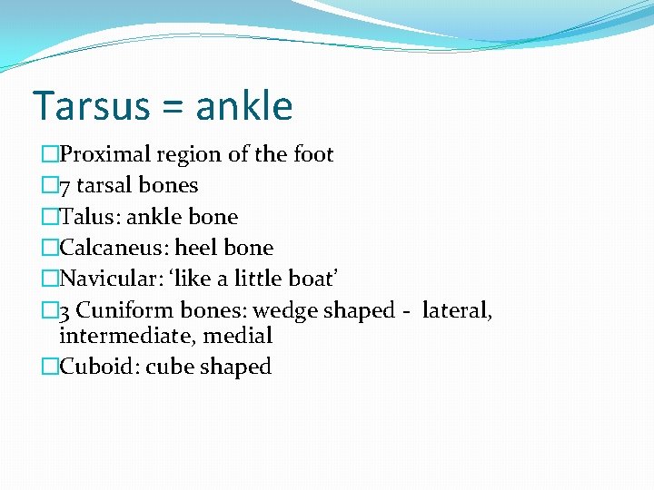 Tarsus = ankle �Proximal region of the foot � 7 tarsal bones �Talus: ankle