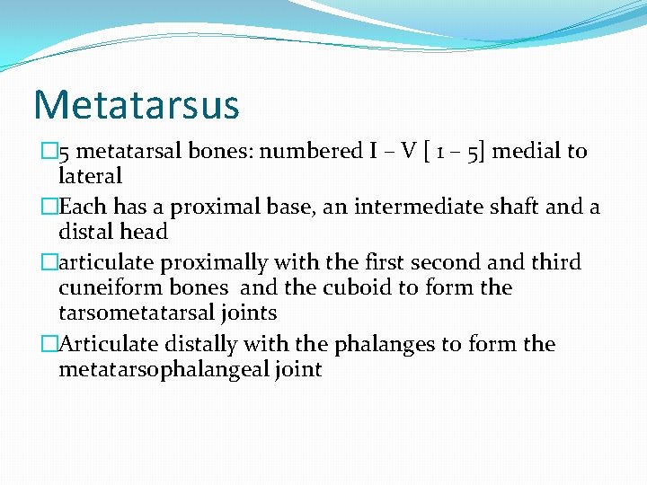 Metatarsus � 5 metatarsal bones: numbered I – V [ 1 – 5] medial