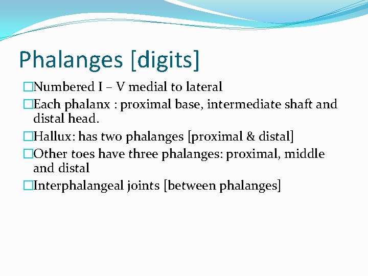 Phalanges [digits] �Numbered I – V medial to lateral �Each phalanx : proximal base,