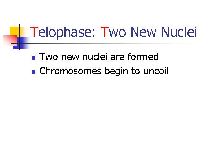 Telophase: Two New Nuclei n n Two new nuclei are formed Chromosomes begin to