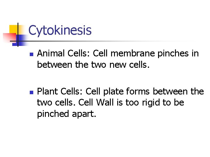 Cytokinesis n n Animal Cells: Cell membrane pinches in between the two new cells.