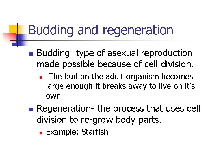 Budding and regeneration n Budding- type of asexual reproduction made possible because of cell