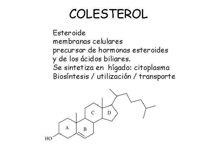 COLESTEROL Esteroide membranas celulares precursor de hormonas esteroides y de los ácidos biliares. Se