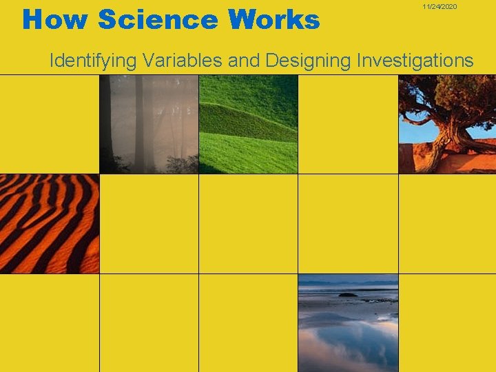 How Science Works 11/24/2020 Identifying Variables and Designing Investigations 