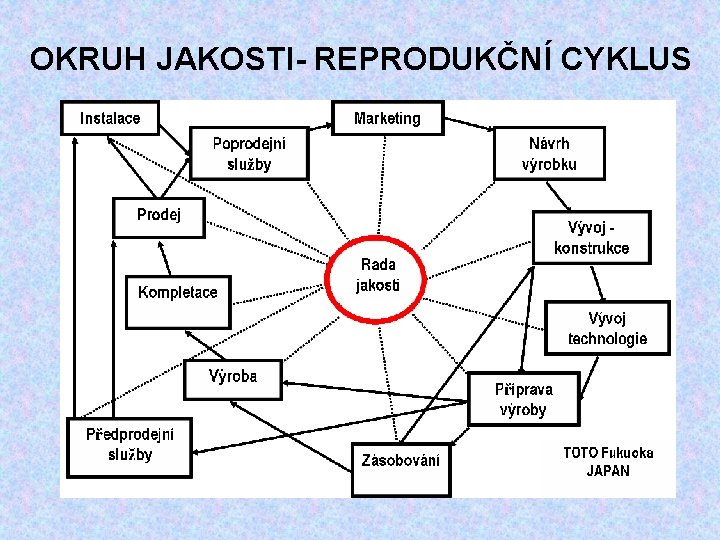 OKRUH JAKOSTI- REPRODUKČNÍ CYKLUS 