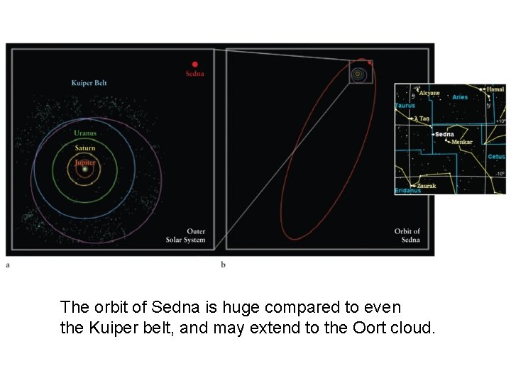 The orbit of Sedna is huge compared to even the Kuiper belt, and may