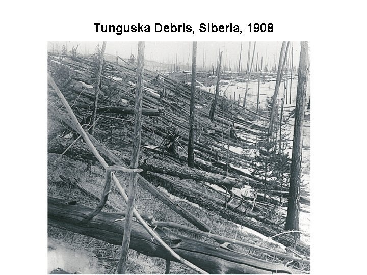 Tunguska Debris, Siberia, 1908 