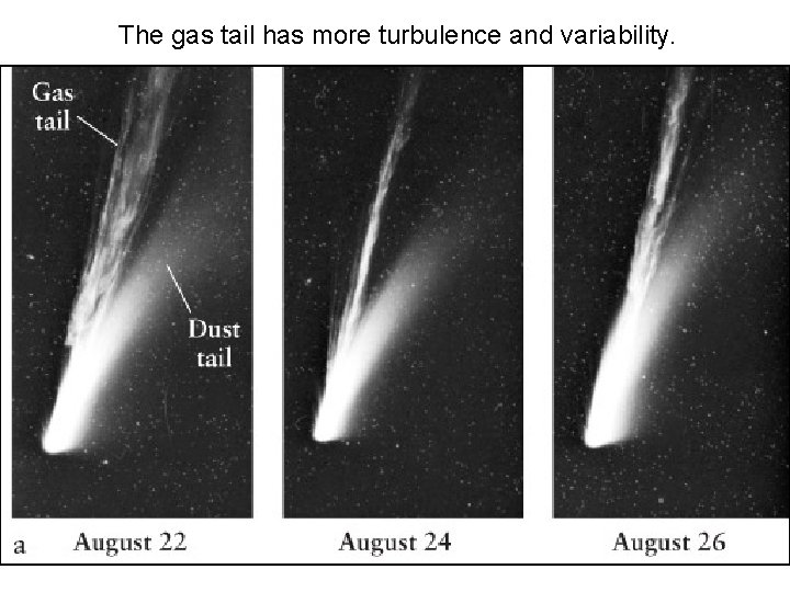 The gas tail has more turbulence and variability. 