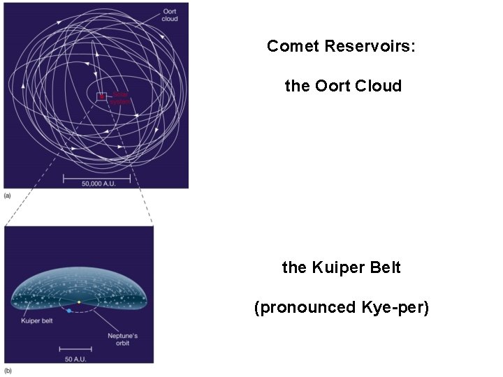 Comet Reservoirs: the Oort Cloud the Kuiper Belt (pronounced Kye-per) 