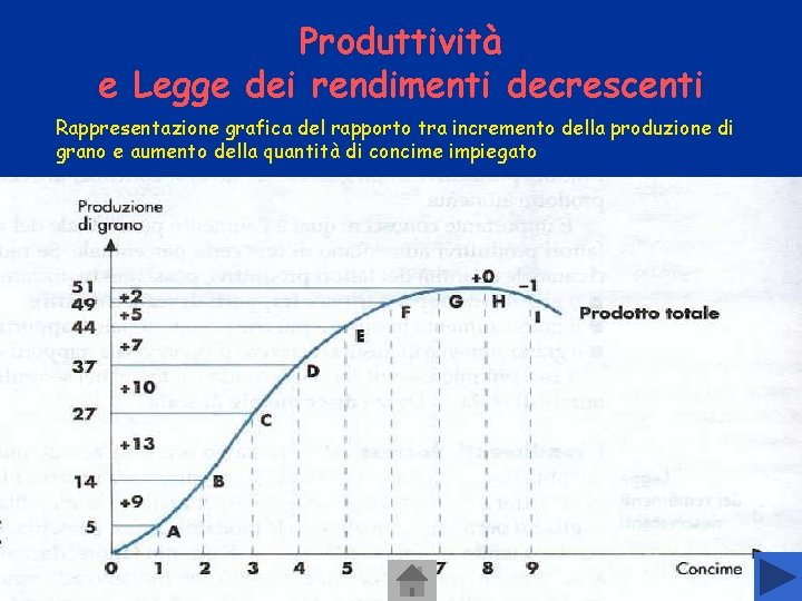Produttività e Legge dei rendimenti decrescenti Rappresentazione grafica del rapporto tra incremento della produzione Produttività e Legge dei rendimenti decrescenti Rappresentazione grafica del rapporto tra incremento della produzione
