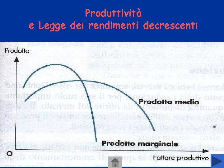 Produttività e Legge dei rendimenti decrescenti Produttività e Legge dei rendimenti decrescenti