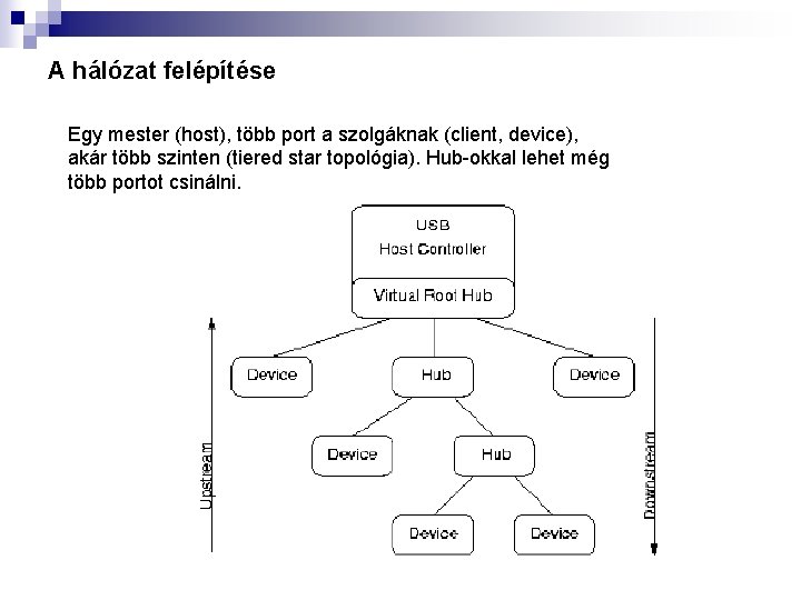 A hálózat felépítése Egy mester (host), több port a szolgáknak (client, device), akár több