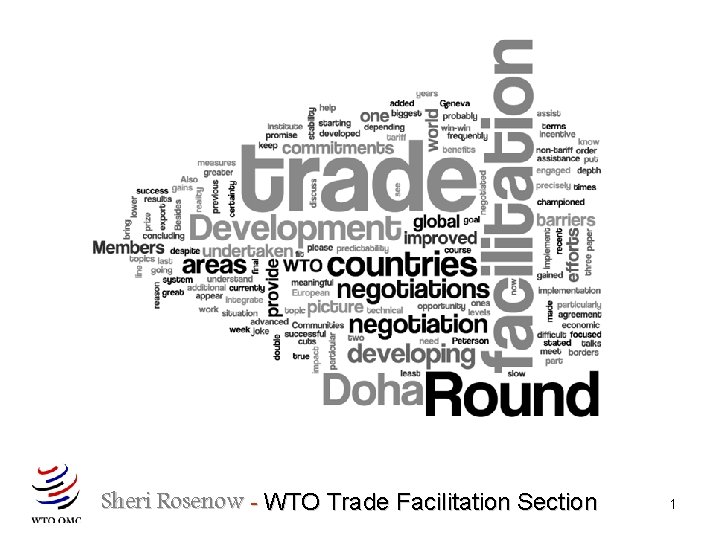 Sheri Rosenow - WTO Trade Facilitation Section 1 